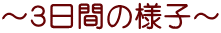 ～３日間の様子～